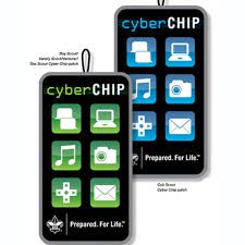 2020x Cyber Chip Program